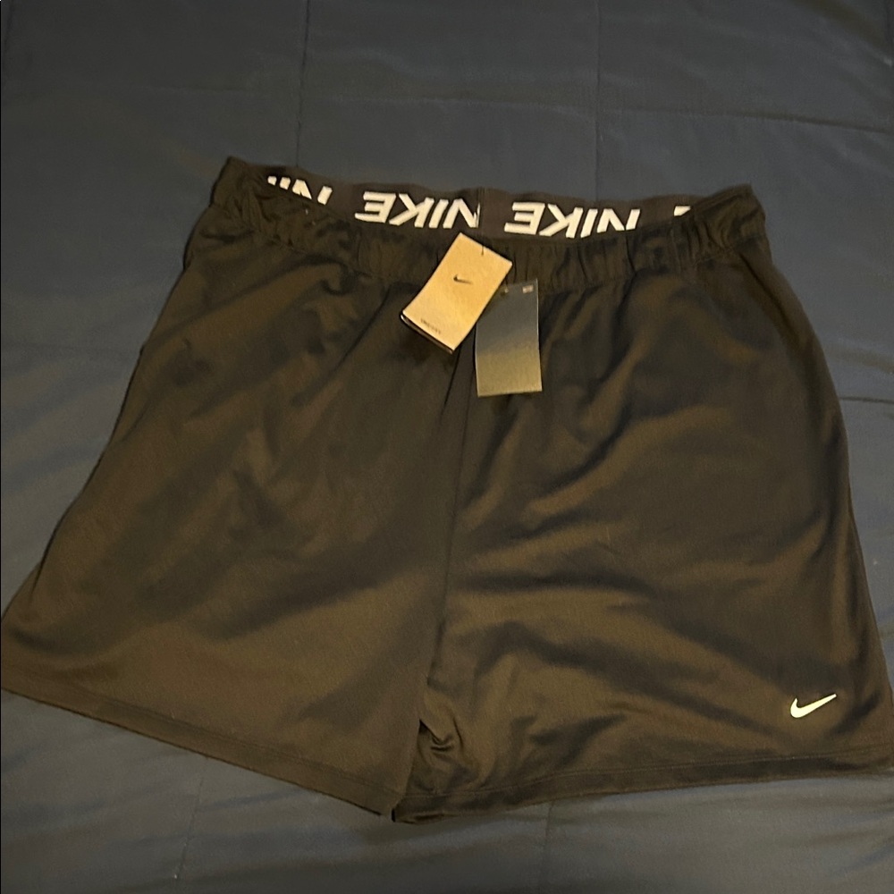 NWT Size 1x Nike Women’s Black Dri Fit Shorts